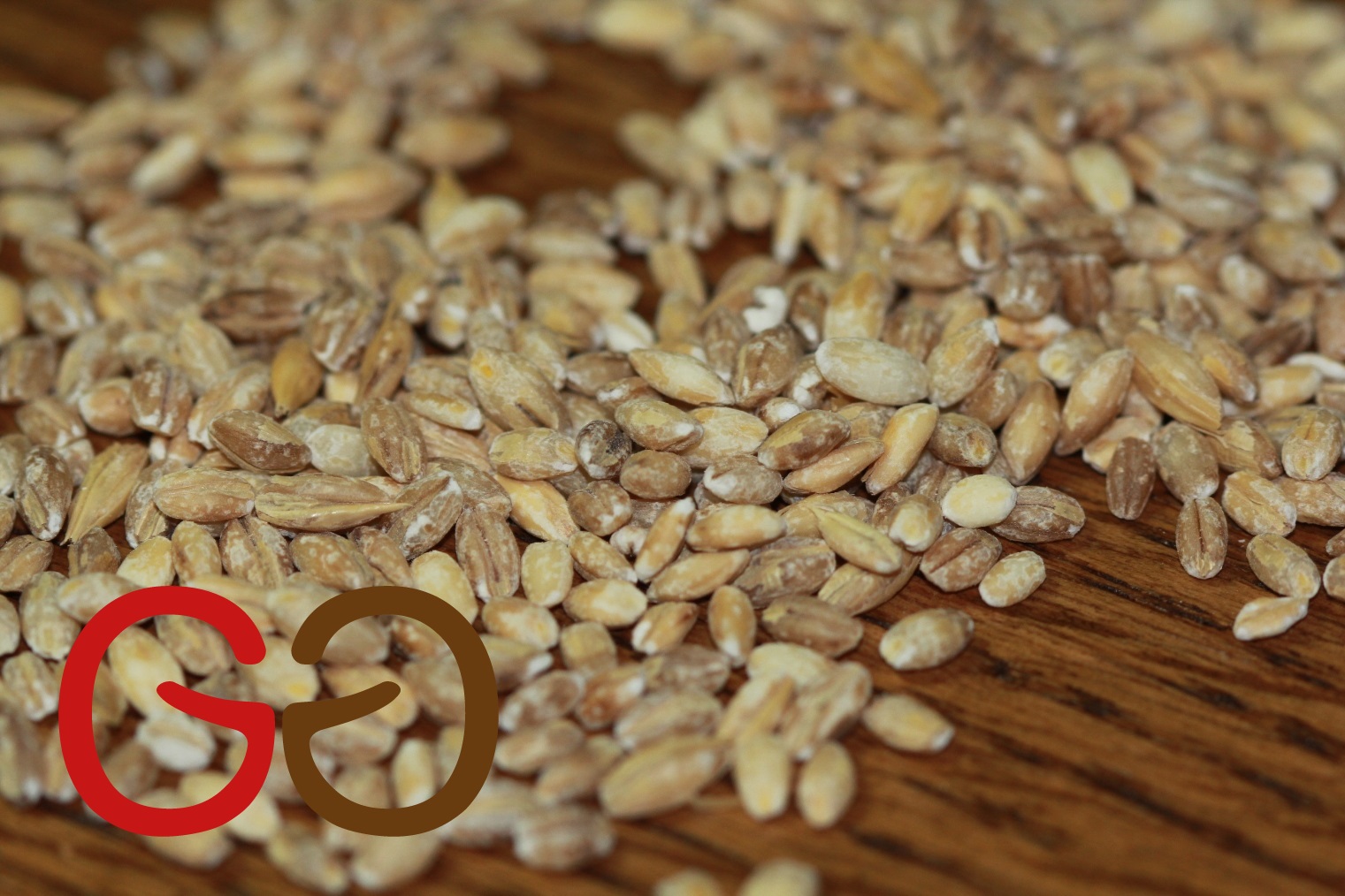 IMG_2395 Gerstenkörner 1521x1014 | Einfache Rezepte für glückliche Gäste